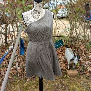 EUC🌋J. CREW🌋 ONE-SHOULDER SILK PARTY DRESS👗8P🌋SILVER GRECIAN💫🦊